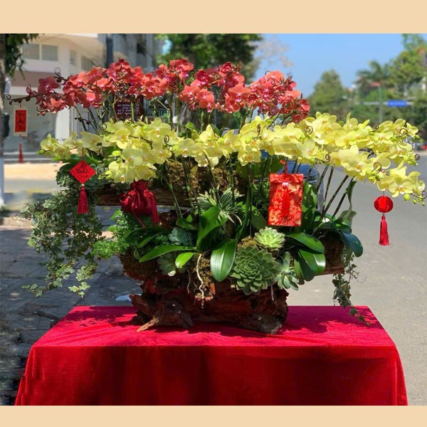  Lũa hoa lan hồ điệp - l123 