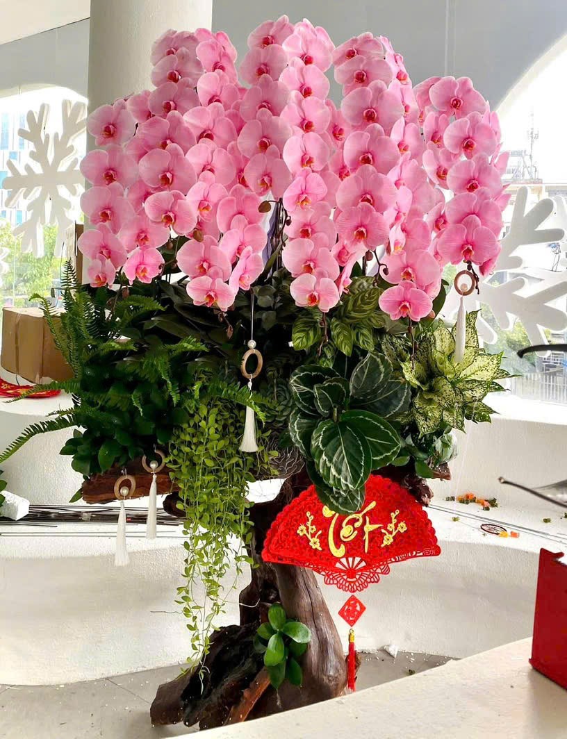  Lũa hoa lan hồ điệp -813 