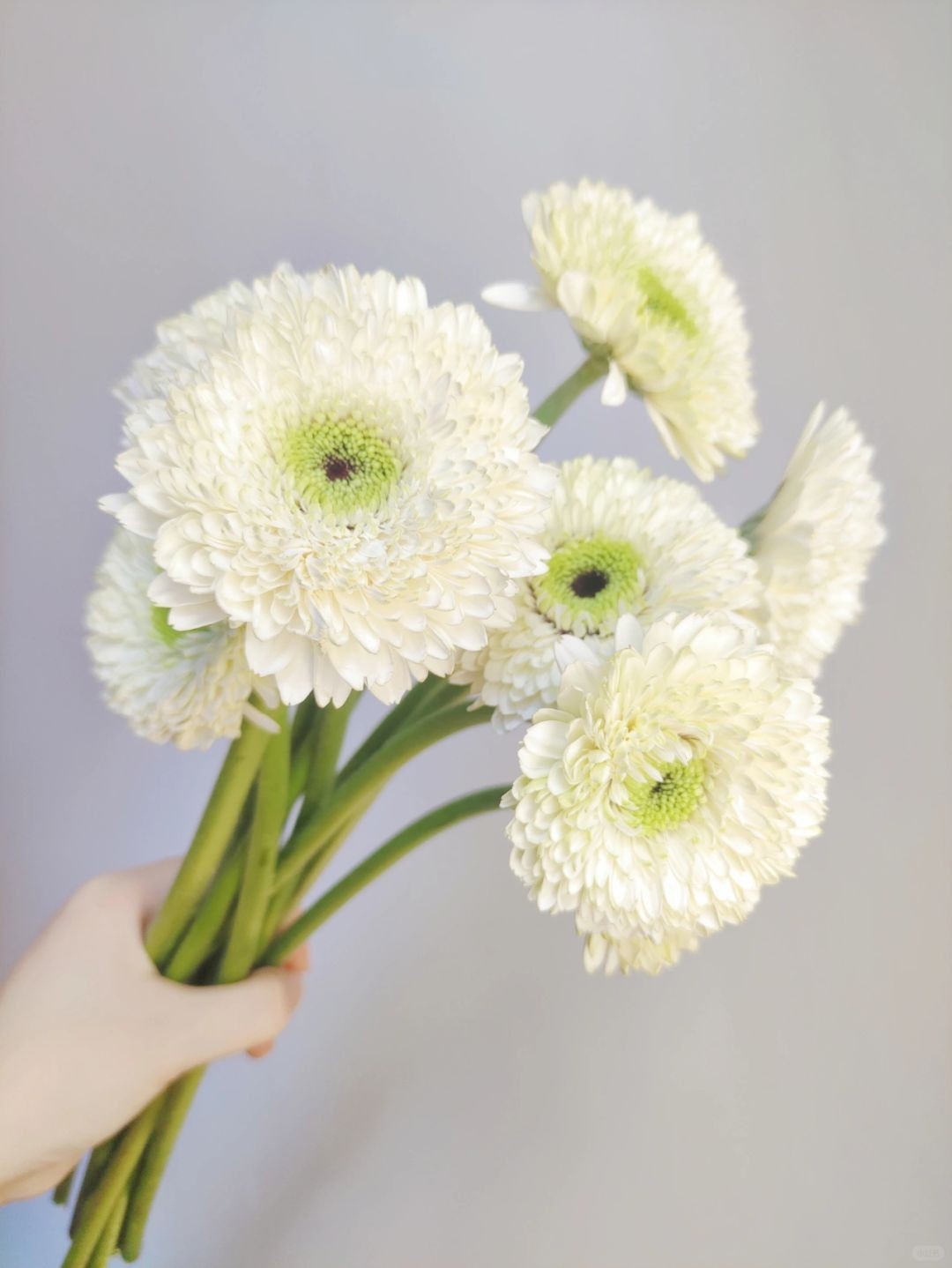 Chính Sách Vận chuyển