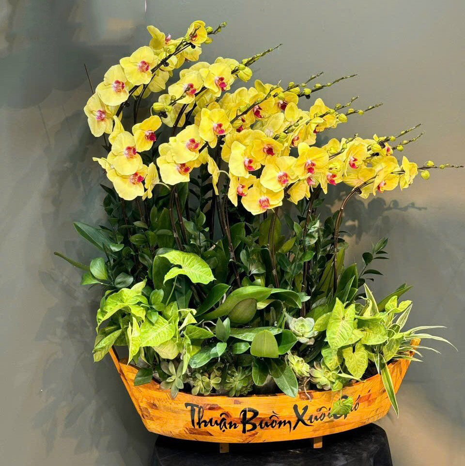 Thuyền Gỗ Lan Hồ ĐIệp