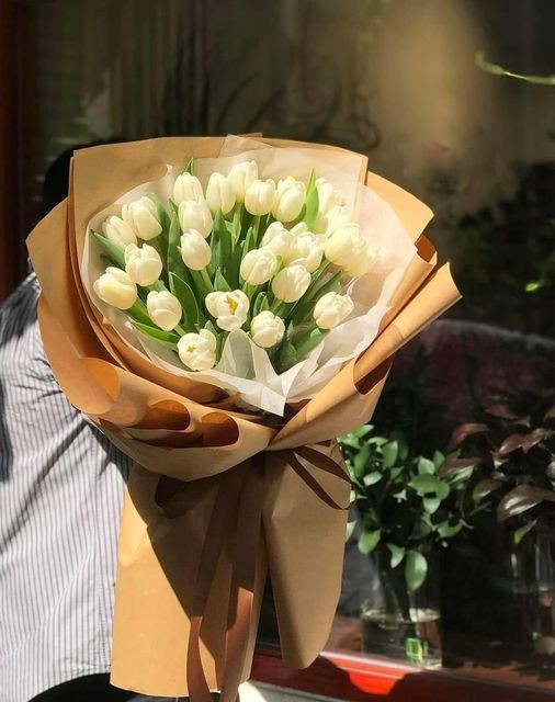 Bó Hoa Tulip trắng 2213