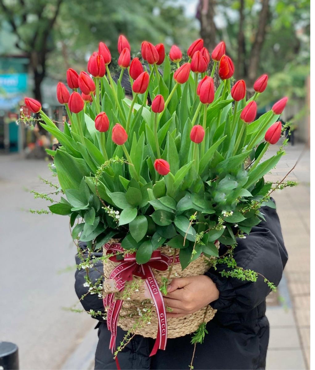 Giỏ Hoa Tulip đỏ 8691